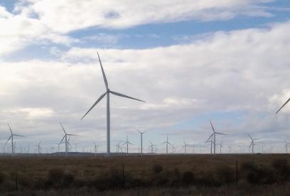 WIND MILL FARM IN OREGON